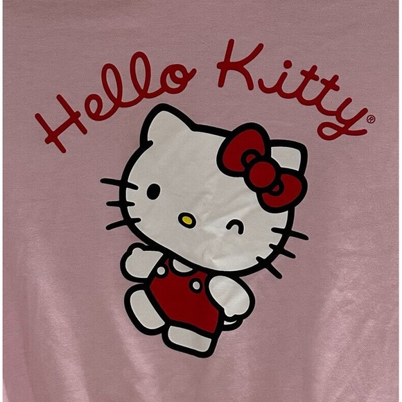 SANRIO Hello Kitty Junior Sweatshirt Light Pink Crewneck Sz‎ LARGE Printed Logo - Picture 1 of 4